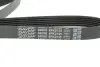 Ремінь генератора MB C-class (W203) 00-02 DAYCO 6PK2135 (фото 2)