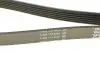 Ремінь генератора MB Sprinter CDI (-AC) (з обводним роликом) DAYCO 6PK2263 (фото 4)