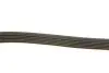 Ремінь генератора MB E-class (W124/S124) M104 93-96 DAYCO 6PK2415 (фото 3)
