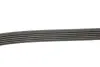 Ремінь генератора MB W140/211 M113/119 DAYCO 6PK2460 (фото 4)