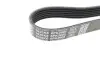 Ремінь генератора Jeep Grand Cherokee II 2.7 CRD 01-05 DAYCO 6PK2605 (фото 2)