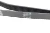 Ремінь генератора Jeep Grand Cherokee II 2.7 CRD 01-05 DAYCO 6PK2605 (фото 3)