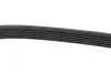 Ремінь генератора Jeep Grand Cherokee II 2.7 CRD 01-05 DAYCO 6PK2605 (фото 4)