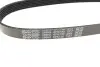Ремінь генератора Citroen Berlingo/Fiat Ducato 1.9 D/TD 96-03 DAYCO 6PK730 (фото 3)