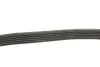 Ремінь генератора Citroen C2/C3 1.4HDi 02-/C4/Peugeot 206 CC/207/307 1.6HDi 03-15 DAYCO 6PK780 (фото 3)