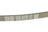 Ремінь генератора Citroen C2/C3 1.4HDi 02-/C4/Peugeot 206 CC/207/307 1.6HDi 03-15 DAYCO 6PK780 (фото 4)