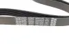 Ремінь генератора Fiat Ducato 2.3JTD 02- DAYCO 7PK1076 (фото 3)