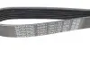 Ремінь генератора BMW 3 (E90)/Opel Movano 2.0i/2.5DTI 03- DAYCO 7PK1103 (фото 4)