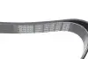 Ремінь генератора Toyota Rav 4 2/0 4WD 00- DAYCO 7PK1595 (фото 3)