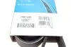 Ремінь генератора Toyota Rav 4 2/0 4WD 00- DAYCO 7PK1595 (фото 6)