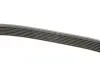 Ремінь генератора BMW 7 (E65) 4.0/4.5D 02-08/Honda Accord/Civic 2.0 01-08 DAYCO 7PK1759 (фото 3)