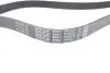 Ремінь генератора MB E-class (W211) 4.0 CDI (OM628) 03-08/Land Rover 4.2-4.4 05-12 DAYCO 7PK2275 (фото 3)