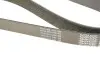 Ремень генератора Jeep Cherokee 2.5Tdi 4x4 96-01/Opel Frontera A 2.5TDS 96-98 DAYCO 8PK2190 (фото 5)