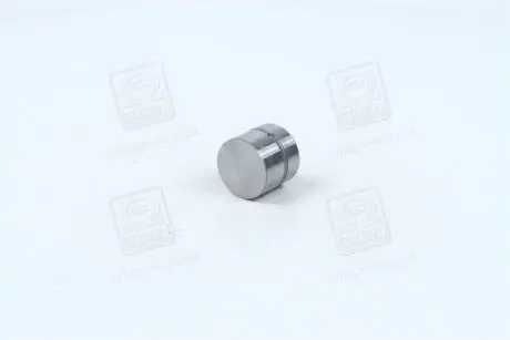 Гидрокомпенсатор (Mobis) Hyundai/Kia/Mobis 2223137100