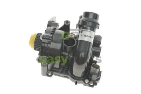 Помпа води Audi A3-A8 1.8TFSI/2.0TFSI/Skoda Octavia 1.8TSI/2.0RS/VW Golf V/VI 2.0TSI 06- (пластик) PIERBURG 7.07856.08.0