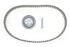 Комплект ГРМ Audi Q7/VW Touareg 3.0 V6 TDI 04-10, CASB/BUN/BUG/CATA/BKS SKF VKMA 01332 (фото 1)