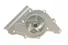 Помпа води Audi 100/80 2.6/quattro 90-94/A6/A8 2.6/2.8/quattro 94-97 SKF VKPC 81800 (фото 3)