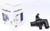 Термостат Smart 0.6/0.7i WAHLER 3142.90D (фото 1)
