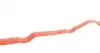 Прокладка кришки клапанів Citroen C3/C4/Peugeot 108/2008/208/301/308 1.0/1.2 VTi 12- (к-кт) VICTOR REINZ 151154901 (фото 5)