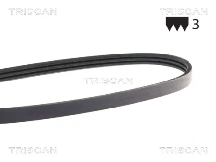 Пасок поліклиновий 3PK628/630 TRISCAN 8640300628e