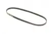 Ремінь генератора Ford Focus III/IV 2.0 ST/2.3 RS 12- (4PK890) Gates 4PK890SF (фото 2)