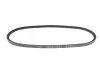 Ремінь генератора VW LT 2.4D/TD -96 DAYCO 10A0813C (фото 2)