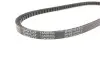 Ремінь генератора BMW/Lancia/Mazda/Etalon DAYCO 13A0835C (фото 3)