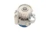 Помпа води Skoda Octavia 1.9TDI 96-10/VW Caddy/Golf 1.9TDI/SDI 96-05 SKF VKPC 81623 (фото 9)