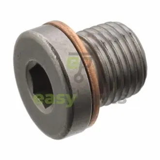 Болт зливу оливи VW Caddy III/T5/T6 03- (M10x13) FEBI BILSTEIN 101020