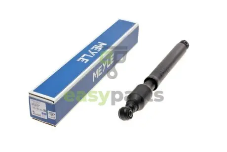 Амортизатор (передній) MB (W123/W126) 72-91 MEYLE 0260227949