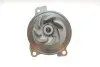 Комплект ГРМ + помпа Audi A6/VW LT/T4 2.5TDI 91-06 (26.5x122) SKF VKMC01270 (фото 9)