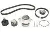 Комплект ГРМ + помпа VW Golf/Caddy III 1.4i 06-10/Skoda Octavia 04-13 (130x58) SKF VKMC01122 (фото 2)