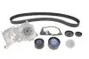 Комплект ГРМ + помпа Renault Clio III/Laguna III/Megane III/ Scenic III 1.6 16V 05- (27x132z) VKMC06021