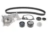 Комплект ГРМ + помпа Renault Clio III/Laguna III/Megane III/ Scenic III 1.6 16V 05- (27x132z) SKF VKMC06021 (фото 2)