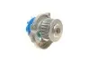 Комплект ГРМ + помпа Fiat Doblo/Fiorino 1.2-1.4 01- (22x129z) (VKPC 82251) SKF VKMC02206 (фото 6)