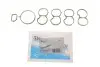 Прокладка колектора впускного Fiat Doblo 1.6D 10- (к-кт) VICTOR REINZ 114069201 (фото 2)