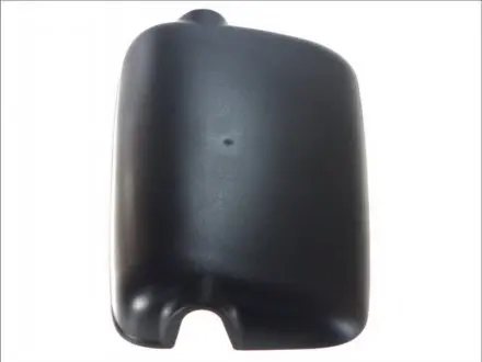 Корпус, наружное зеркало PACOL MANMR016