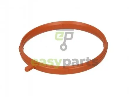 Прокладка корпуса колектора впускного BMW 3 (E46)/Z3 (E36) 1.6/1.9 98- ELRING 359360