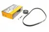 Комплект ГРМ VW Caddy/T4/LT 1.6-2.0 91-01 (18x121z) CT848K4