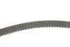 Комплект ГРМ Fiat Brava/Bravo/Doblo/Palio/Punto/Stilo 1.9D/JTD 01- (24x190z) (болт+шайба) SKF VKMA02179 (фото 3)