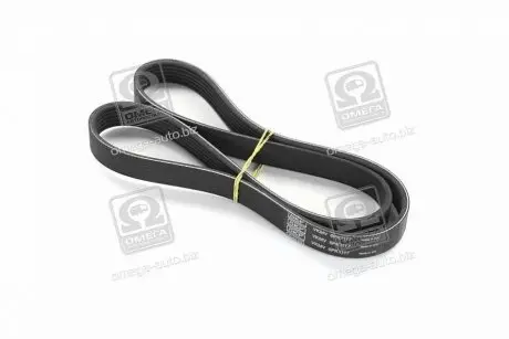 Ремень поликлин. SKF VKMV6PK1117
