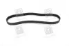 Ремінь 6PK923 FIAT 1,6i/1,9D FORD Galaxy 1,9TDI VW 1,7SDI/1,9TDI SKF VKMV6PK923 (фото 3)