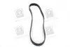 Ремінь 6PK923 FIAT 1,6i/1,9D FORD Galaxy 1,9TDI VW 1,7SDI/1,9TDI SKF VKMV6PK923 (фото 4)