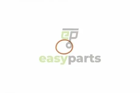 Прокладка форсунки ущільнювальна VW Caddy/Crafter 2.0TDI 10-16 (кільце) BOSCH F00VP01005