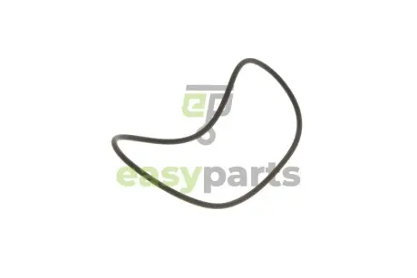 Прокладка паливного насоса Man TGX (100x3) BOSCH 2410210014