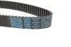 Комплект ГРМ Audi A4/A6/ VW Passat 2.4-2.8 95-05 DAYCO KTB485 (фото 2)