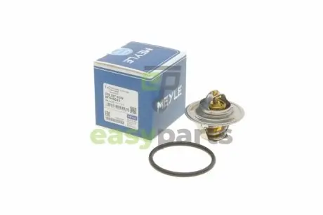 Термостат VW T5 2.0i 03- MEYLE 028 287 0009