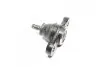 Кульова опора перед. ниж. Hyundai Elantra 2/06-, i30 10/07- KIA Ceed 12/06-, Pro Ceed 2/08-, Magentis 11/05- Hyundai/Kia/Mobis 517602H000 (фото 1)