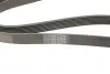 Ремінь генератора Honda Civic 1.8 05-/CR-V 2.0 06-12 Contitech 7PK1538 (фото 11)