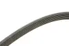 Ремінь генератора Honda Civic 1.8 05-/CR-V 2.0 06-12 Contitech 7PK1538 (фото 3)